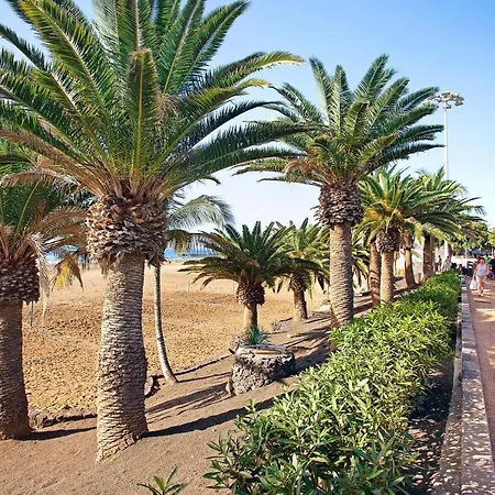 Perla Del Playa Grande Apartment Tias